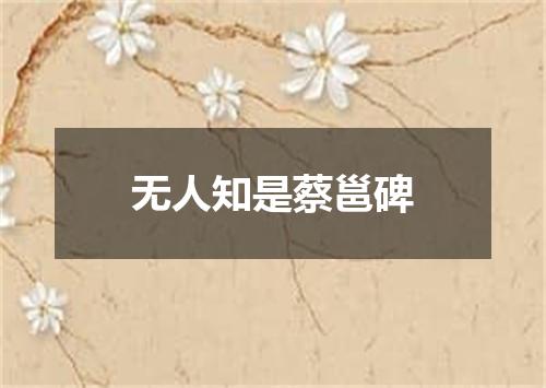 无人知是蔡邕碑