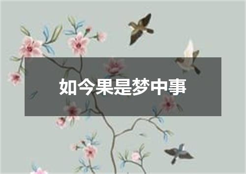 如今果是梦中事