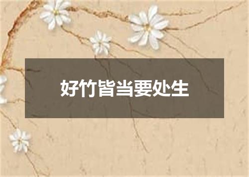 好竹皆当要处生