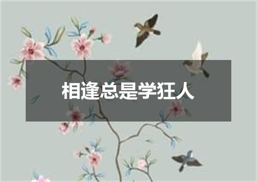 相逢总是学狂人