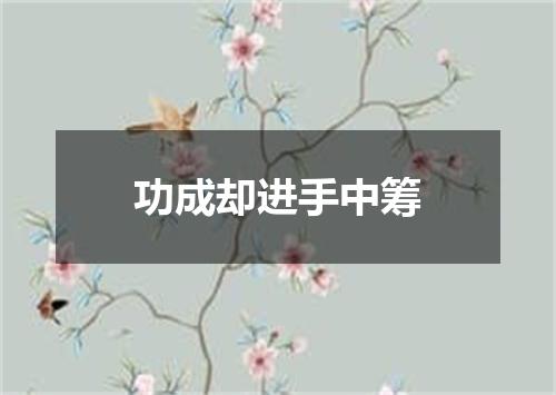 功成却进手中筹
