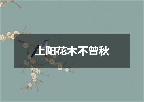 上阳花木不曾秋
