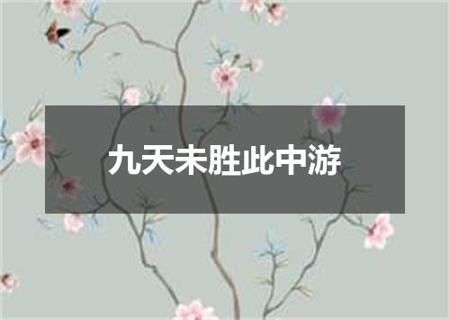 九天未胜此中游