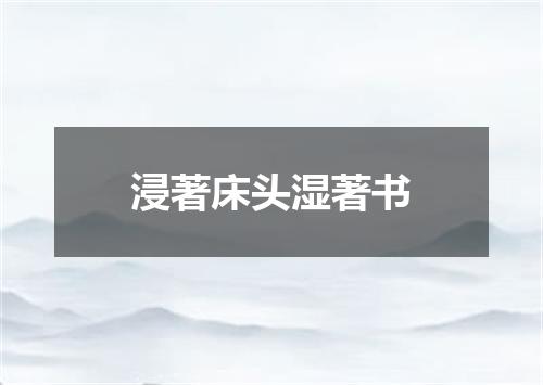 浸著床头湿著书