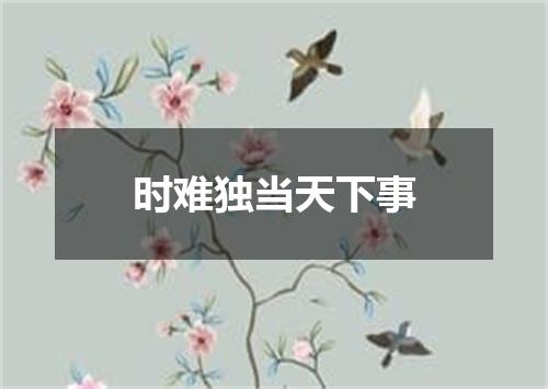 时难独当天下事