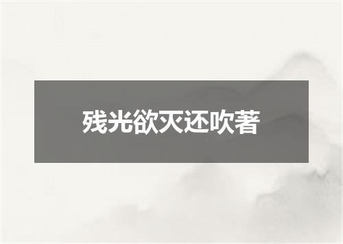残光欲灭还吹著