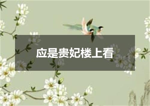应是贵妃楼上看