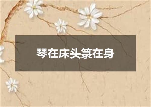 琴在床头箓在身