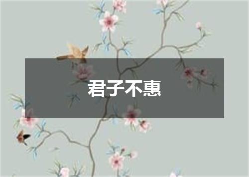 君子不惠