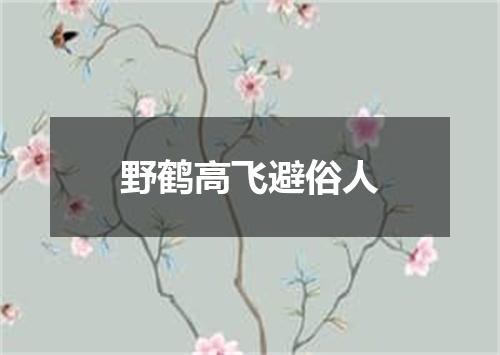 野鹤高飞避俗人
