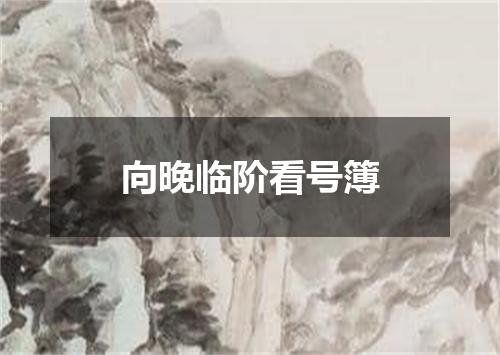 向晚临阶看号簿