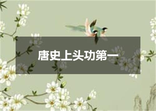 唐史上头功第一