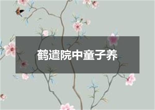 鹤遣院中童子养