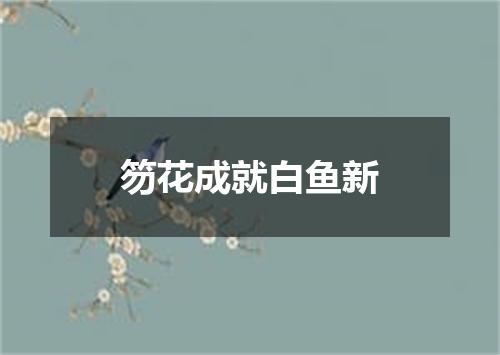 笏花成就白鱼新