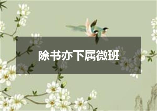 除书亦下属微班