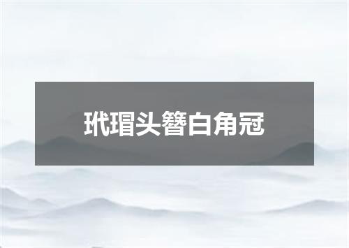 玳瑁头簪白角冠