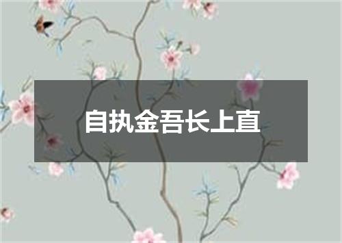 自执金吾长上直