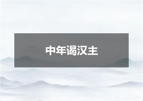 中年谒汉主
