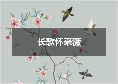 长歌怀采薇