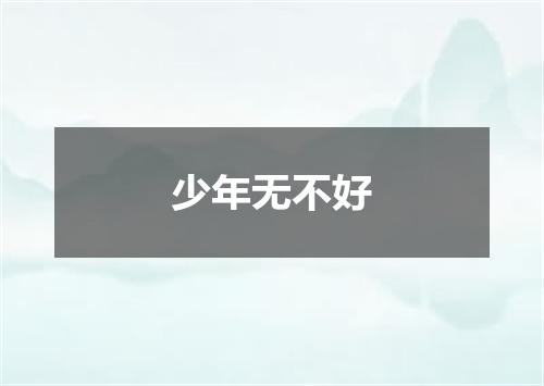 少年无不好