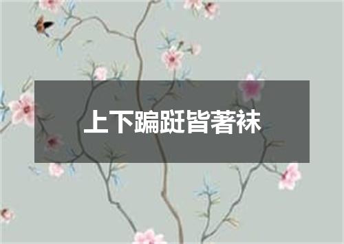 上下蹁跹皆著袜