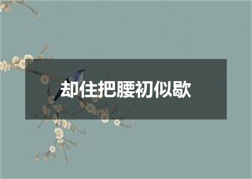 却住把腰初似歇