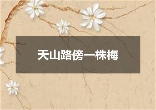 天山路傍一株梅