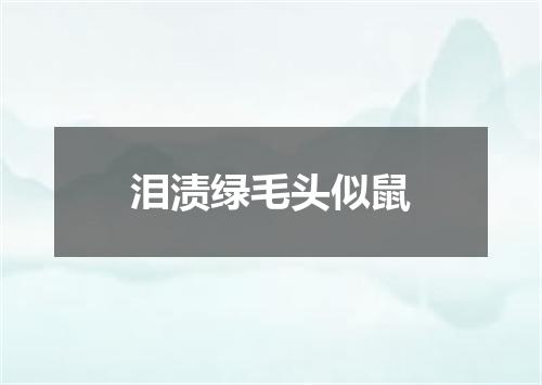 泪渍绿毛头似鼠