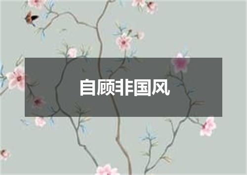 自顾非国风