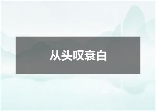 从头叹衰白