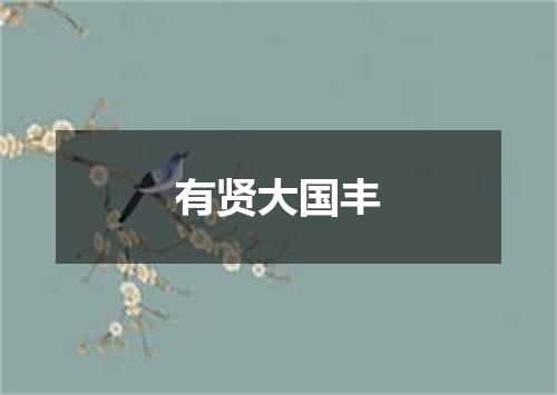 有贤大国丰