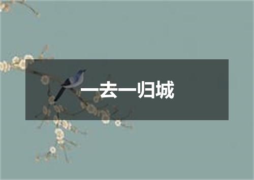 一去一归城