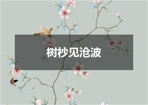 树杪见沧波