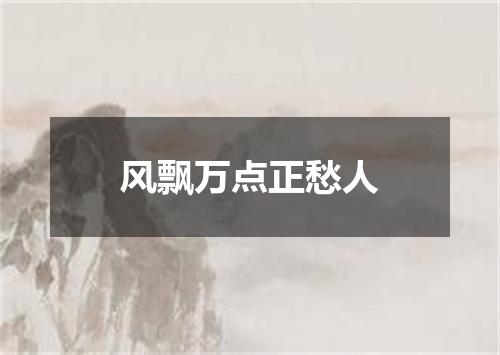 风飘万点正愁人