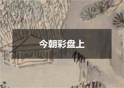 今朝彩盘上