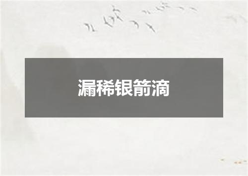 漏稀银箭滴