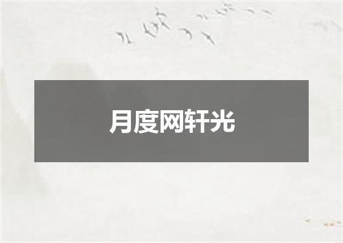 月度网轩光