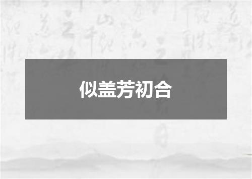 似盖芳初合