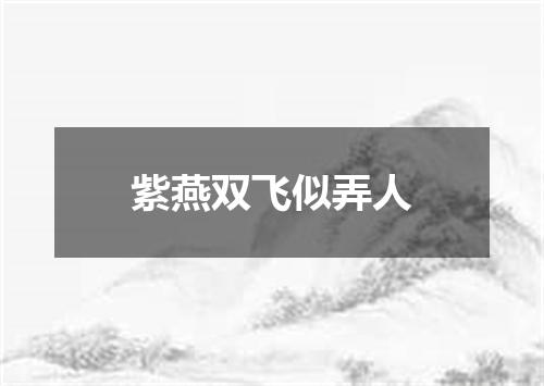 紫燕双飞似弄人