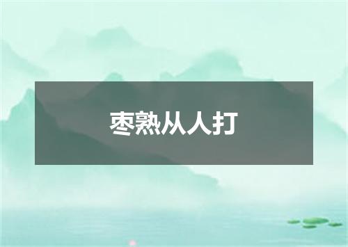 枣熟从人打