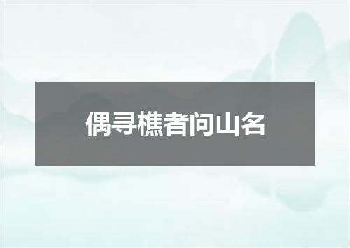偶寻樵者问山名