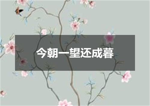 今朝一望还成暮