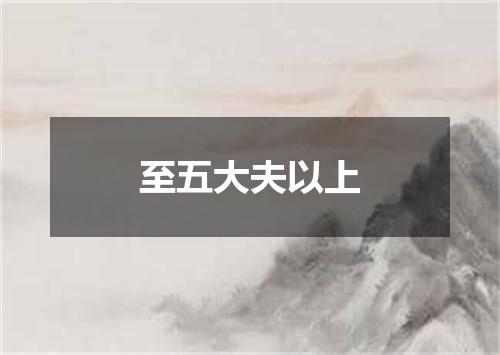 至五大夫以上