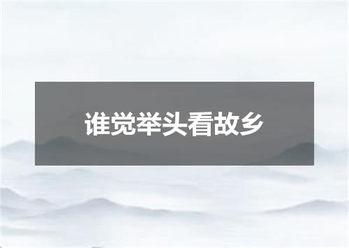 谁觉举头看故乡