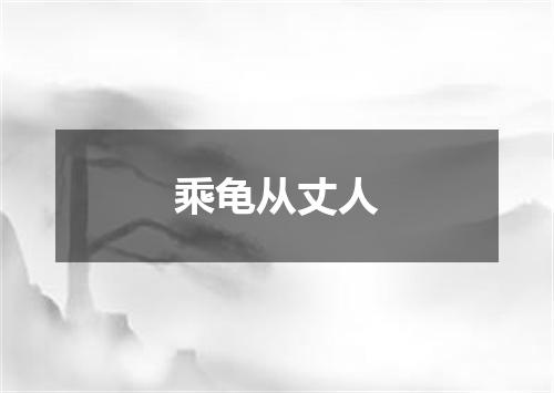 乘龟从丈人