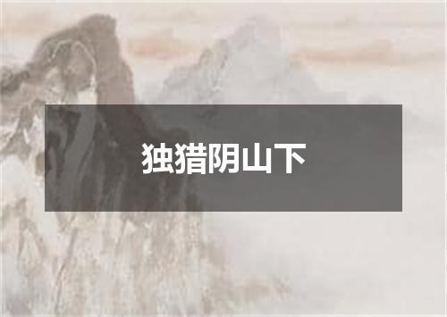 独猎阴山下