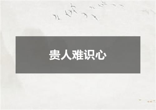 贵人难识心