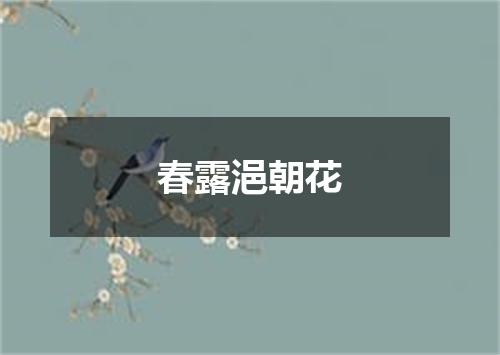 春露浥朝花
