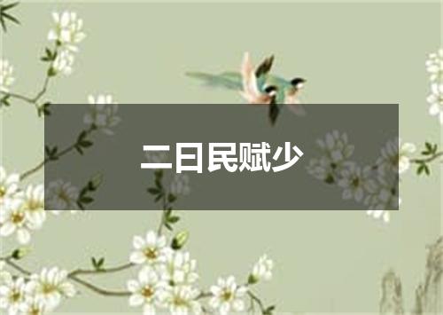 二曰民赋少