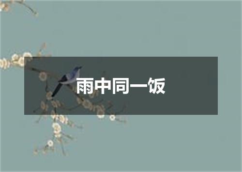 雨中同一饭